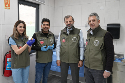 GÜRSU’NUN SÜT ANNE KEDİSİ SOSYAL MEDYAYI SALLADI