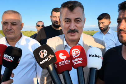 Karpuz Tarlada Kaldı