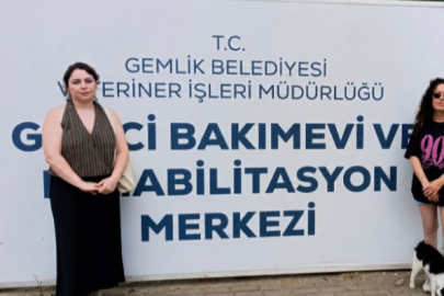 HAYVANSEVERLERDEN GEMLİK BELEDİYESİ’NE TEPKİ: “BARINAK HALKA KAPALI!”